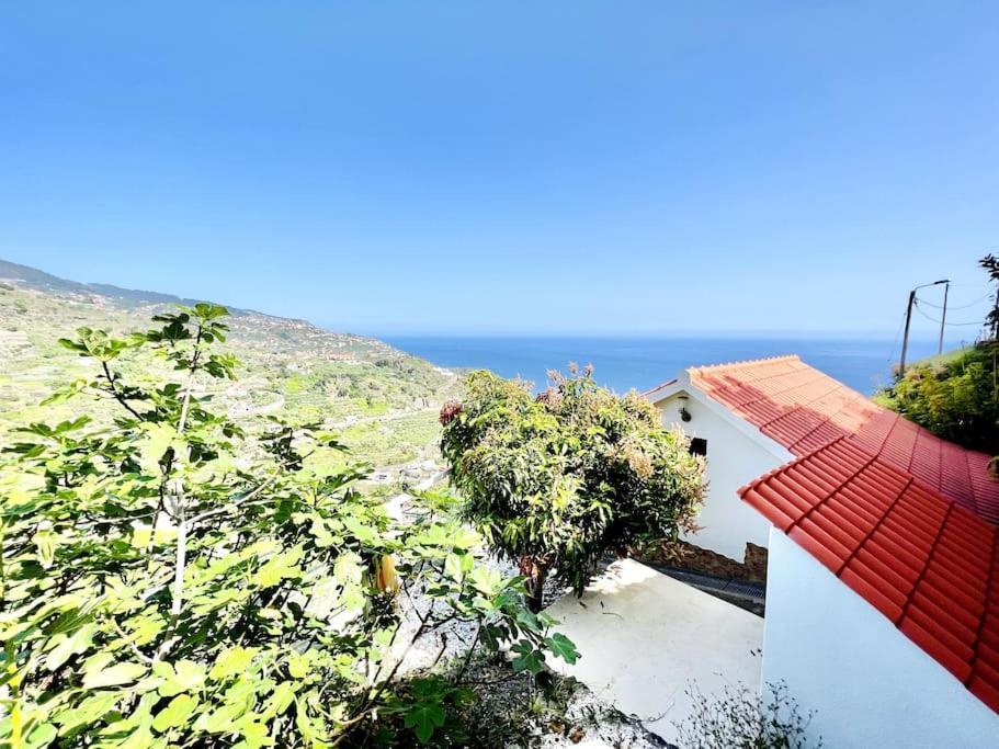 Mar A Vista By Your Madeira Rentals Ponta do Sol  Zewnętrze zdjęcie